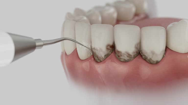 Reliable Dental contractor in Gulf Breeze, FL by Dentist Open Now